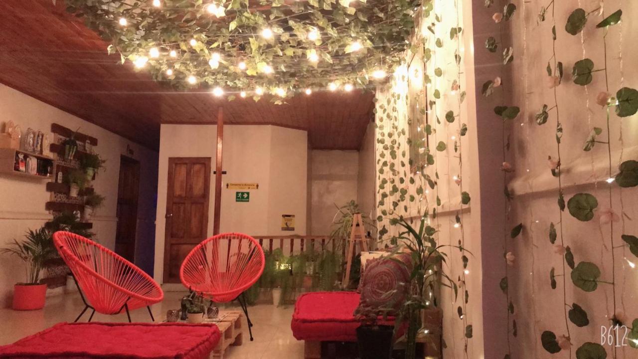 Hospedaje Casa Rosa Jardín Esterno foto